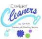 Expert Cleaners Inc.