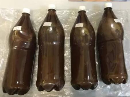 Ayahuasca Tea for Sale
