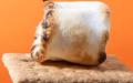 What are Magic Shroom Bars?